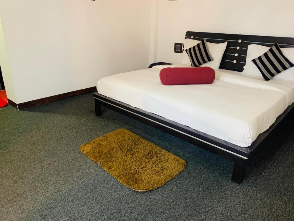 Ella Forest Eco View Room photo